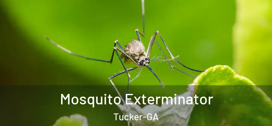 Mosquito Exterminator Tucker-GA