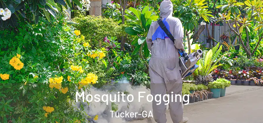 Mosquito Fogging Tucker-GA