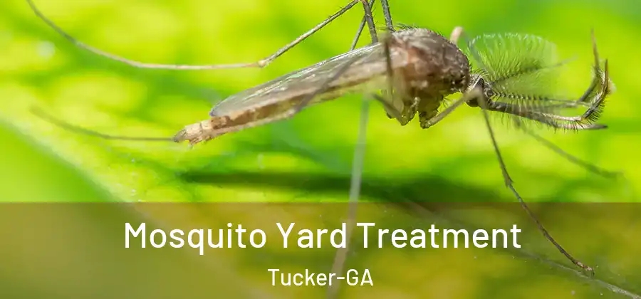 Mosquito Yard Treatment Tucker-GA