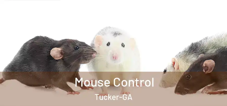 Mouse Control Tucker-GA
