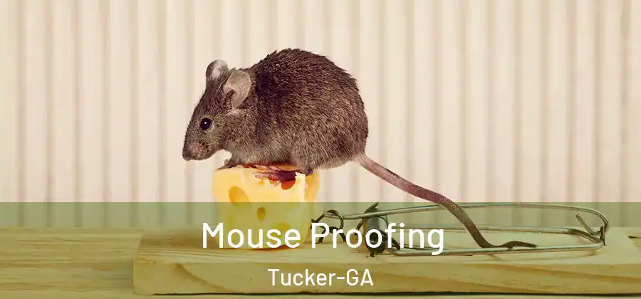 Mouse Proofing Tucker-GA