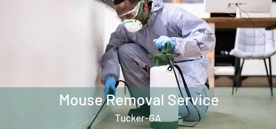 Mouse Removal Service Tucker-GA