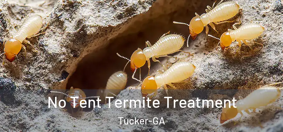 No Tent Termite Treatment Tucker-GA