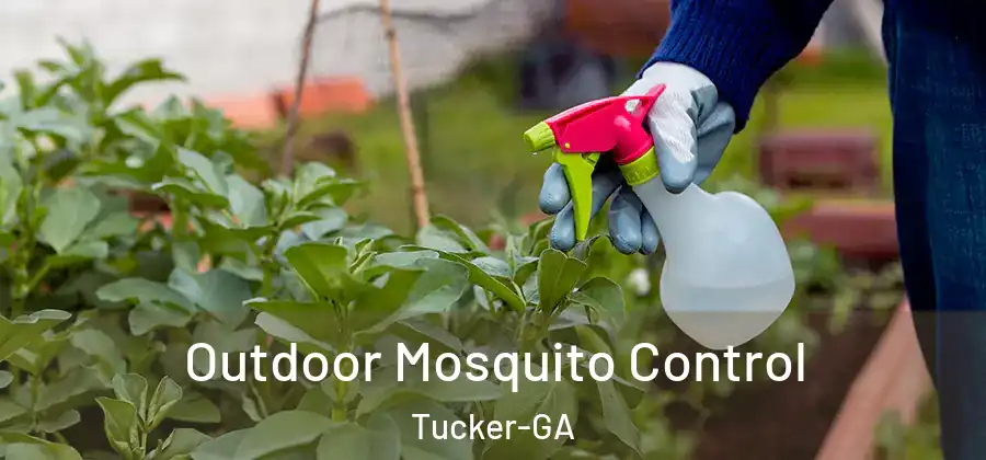 Outdoor Mosquito Control Tucker-GA