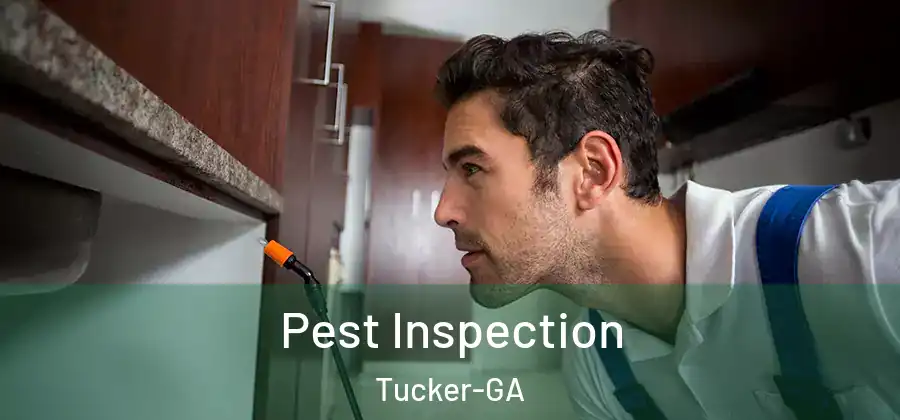 Pest Inspection Tucker-GA