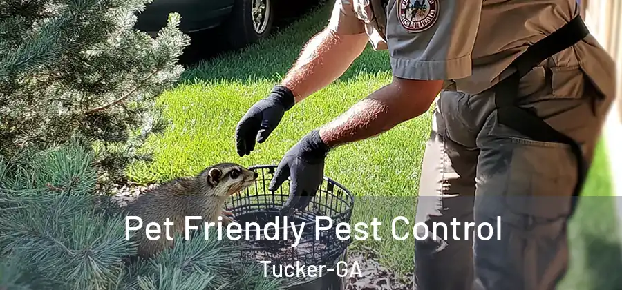 Pet Friendly Pest Control Tucker-GA