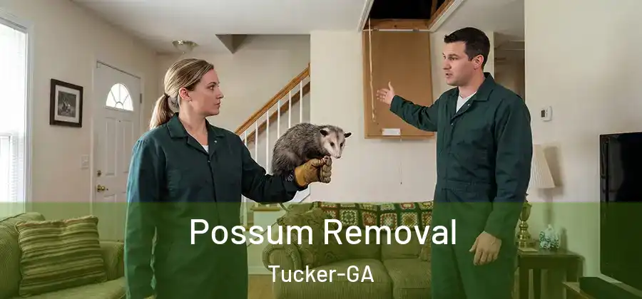 Possum Removal Tucker-GA