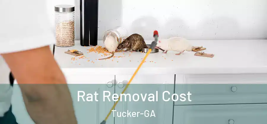 Rat Removal Cost Tucker-GA