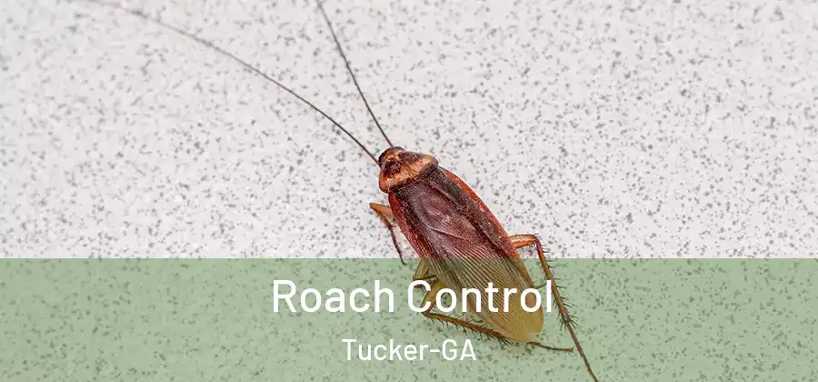 Roach Control Tucker-GA