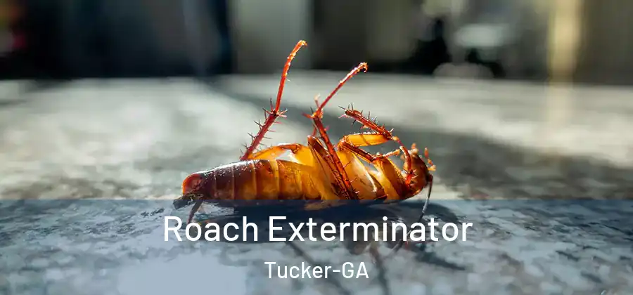Roach Exterminator Tucker-GA
