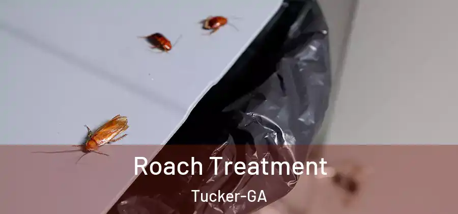  Roach Treatment Tucker-GA