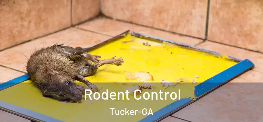  Rodent Control Tucker-GA