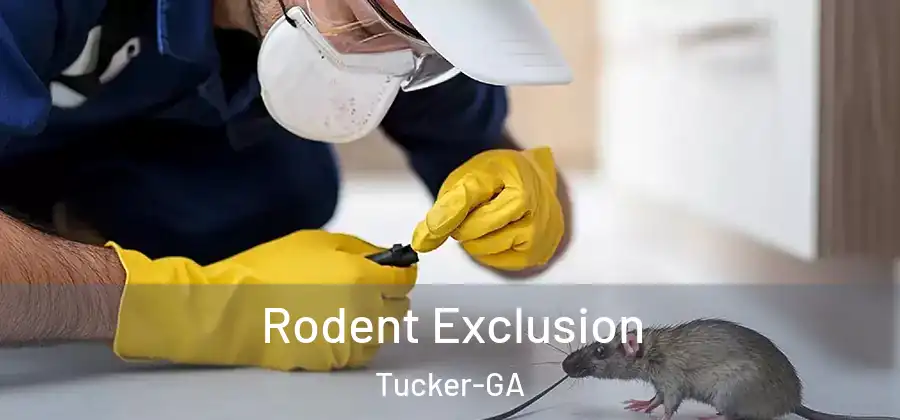 Rodent Exclusion Tucker-GA