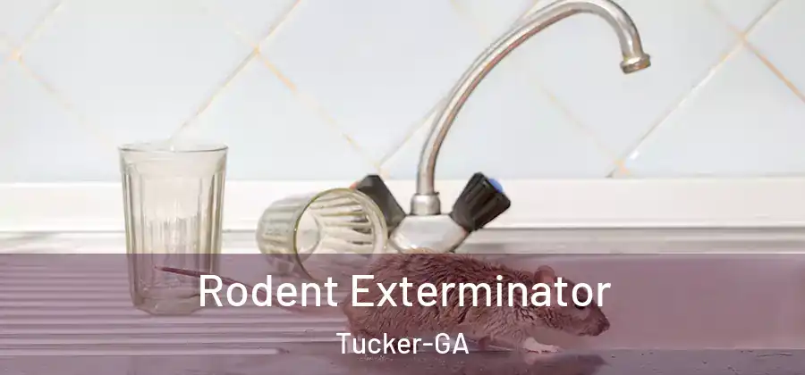 Rodent Exterminator Tucker-GA
