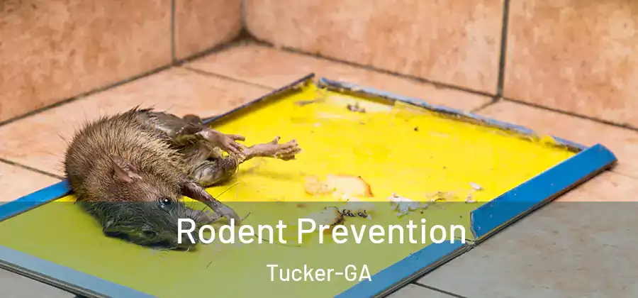 Rodent Prevention Tucker-GA