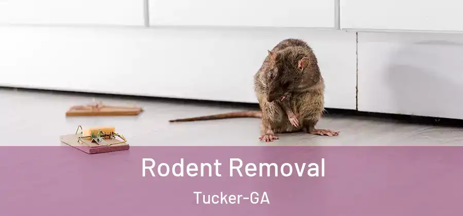 Rodent Removal Tucker-GA