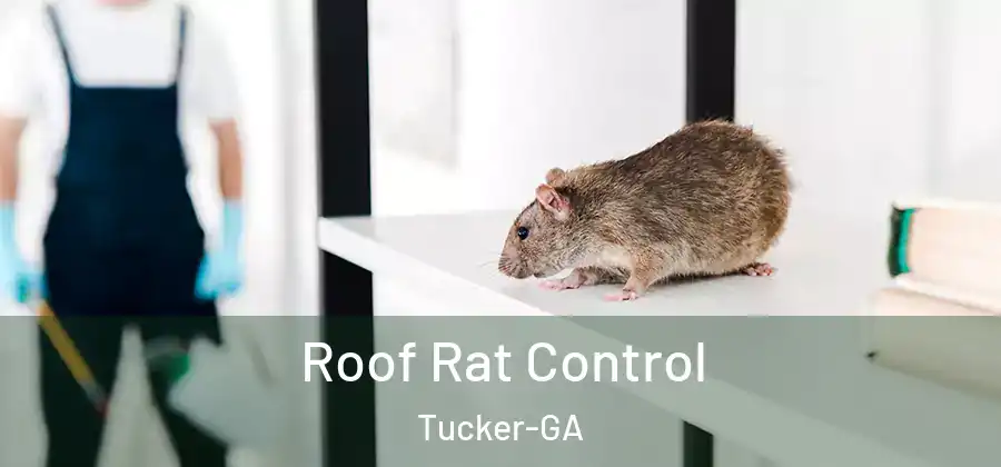Roof Rat Control Tucker-GA