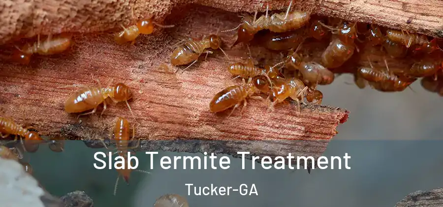 Slab Termite Treatment Tucker-GA