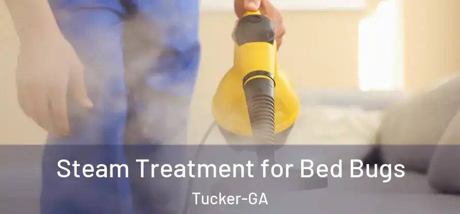 Steam Treatment for Bed Bugs Tucker-GA