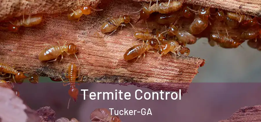Termite Control Tucker-GA