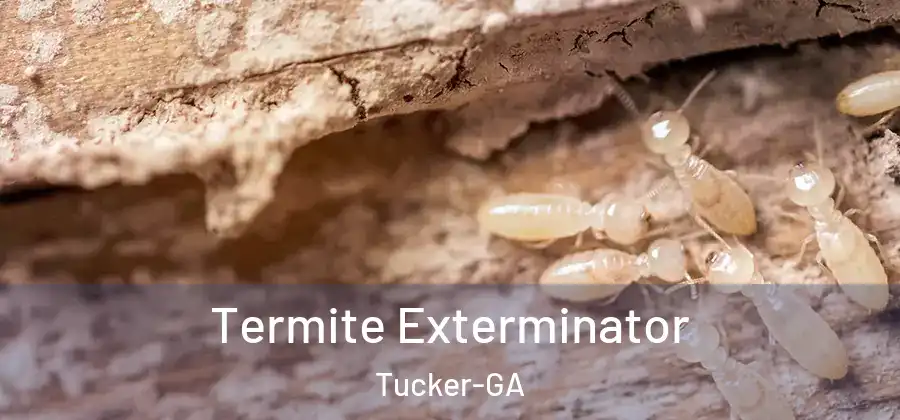  Termite Exterminator Tucker-GA