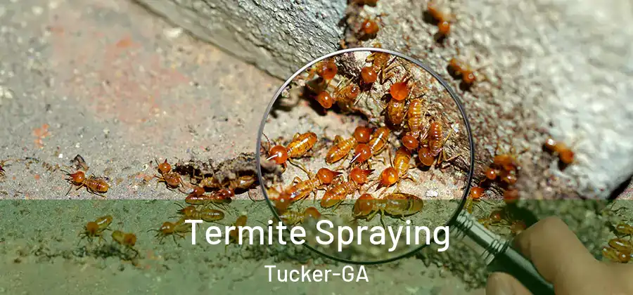 Termite Spraying Tucker-GA