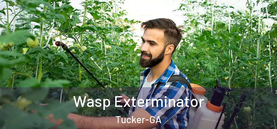 Wasp Exterminator Tucker-GA