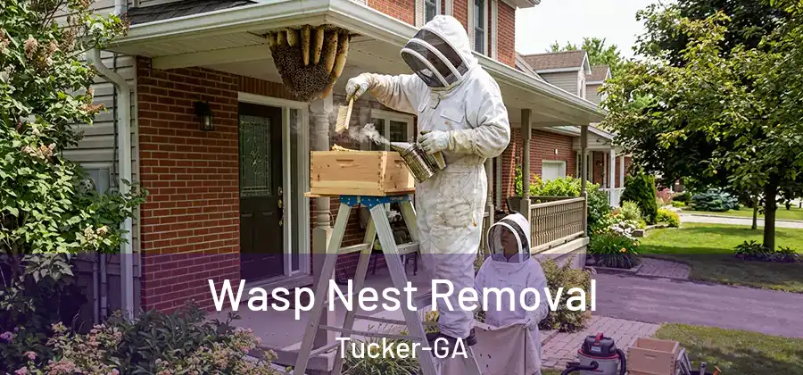 Wasp Nest Removal Tucker-GA