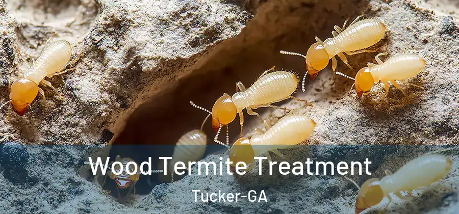 Wood Termite Treatment Tucker-GA