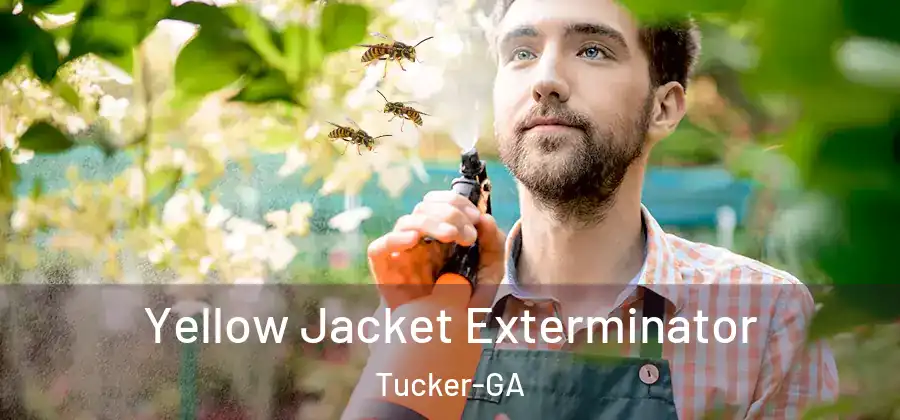 Yellow Jacket Exterminator Tucker-GA