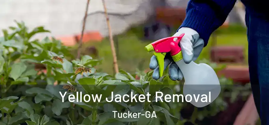 Yellow Jacket Removal Tucker-GA